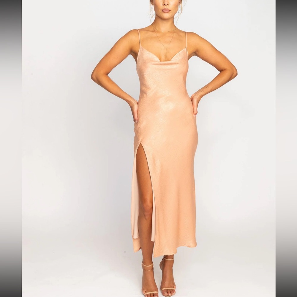 RESA Madison slip in Blush NWT